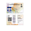 Voter ID PDF